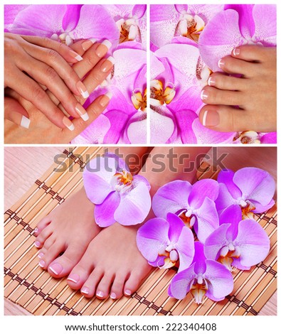 Nail Care Collection. French Manicure and Pedicure with pink orchid flowers. Spa