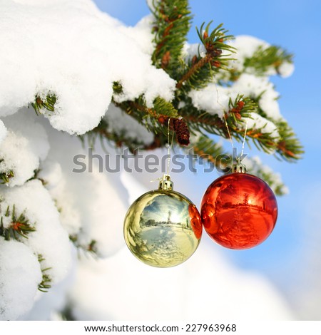 Christmas Balls on Christmas tree branch covered with Snow. Outside. Winter Sunny Day.