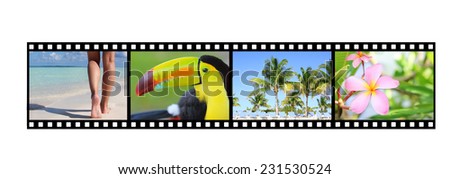 Film strip with pictures of tropical nature