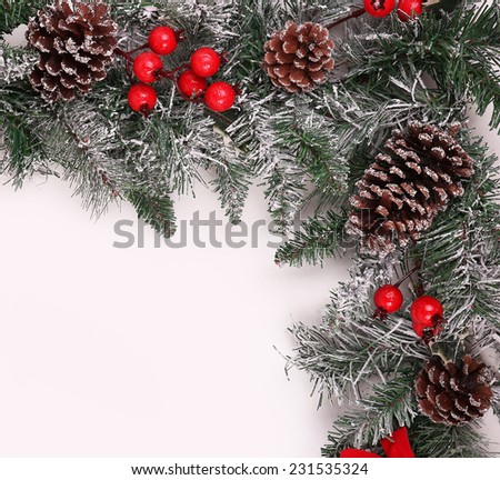 Christmas background. Branch of christmas tree with pine cones and holly berries over white
