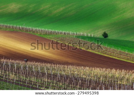 Czech Republic. South Moravia. Grape field near the town of Velke BÃ­lovice