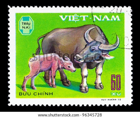 VIETNAM - CIRCA 1979: A stamp printed in Vietnam shows Water buffalo, calf, series Domestic Animals, circa 1979