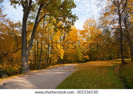 Sun shining through the trees on a path in  golden park landscape