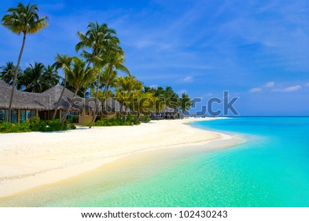 Beach bungalows on a tropical island, travel background