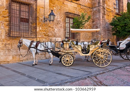 Traditional Horse and Cart at Cordoba Spain - travel background
