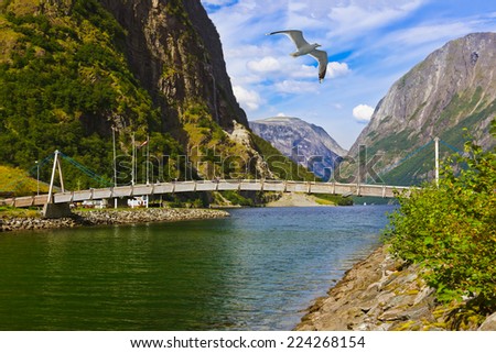 Bridge across fjord Sognefjord in Norway - nature and travel background