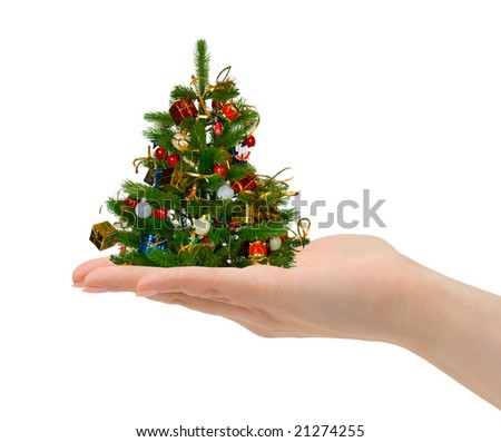 Tree In Hand