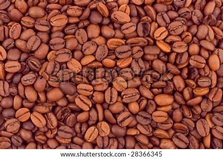 Brown coffee beans background, abstract food texture
