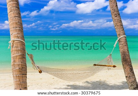 tropical beaches wallpaper. Tropical+each+hammock+