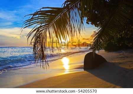 sunset beach background. stock photo : Tropical each