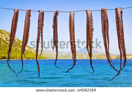 Octopus hanging to dry - seafood fishing background