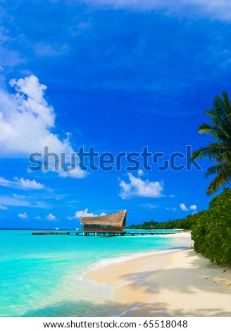 Diving club on a tropical island - travel background