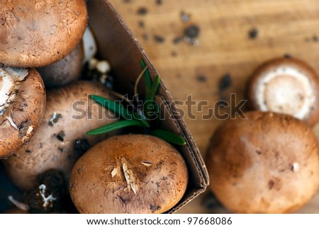 Baby Bella Mushrooms