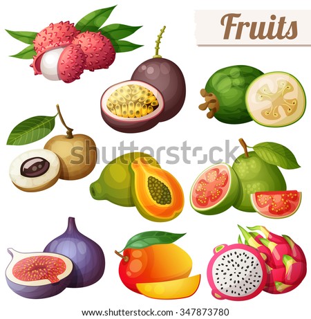 Set of cartoon food icons. Exotic fruits isolated on white background. Lychee (litchi), passion fruit, feijoa, longan, papaya (pawpaw), guava, fig, mango, pitaya (dragon fruit)