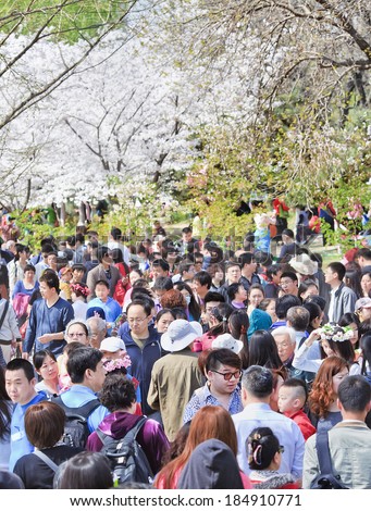 BEIJING-MARCH 30, 2014. Crowd on Yuyuantan Park Cherry Tree Blossom Festival. It attracts annually domestic as well as international tourism; the famous cherry tree garden houses over 3,000 trees.