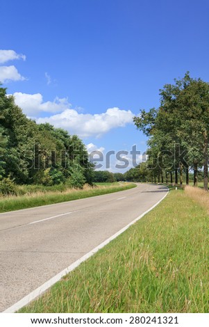 Country road in a green summery environment, Brabant, The Netherlands