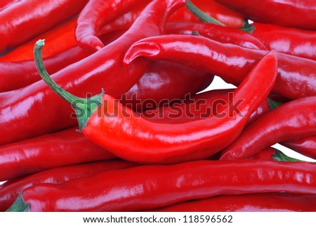 Chilly peppers. Close up of set of red chilly pepper..