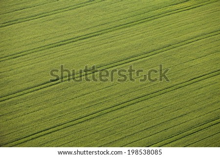 aerial view of harvest field