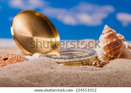 Sea Hedgehog shells  and compass on  sand and blue sky Background