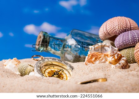Sea Hedgehog shells  and compass on  sand and blue sky Background