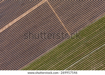 aerial view of harvest fields in Poland