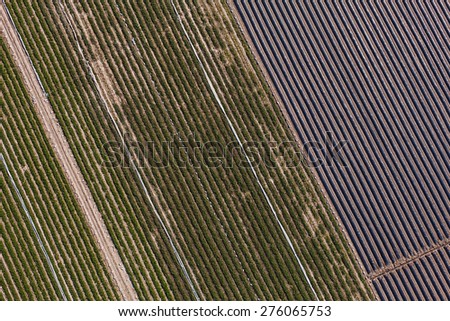 aerial view of harvest fields in Poland