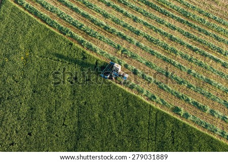 aerial view of harvest fields with combine in Poland
