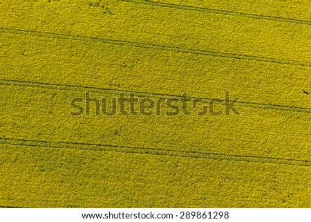 aerial view of yellow harvest fields  in Poland