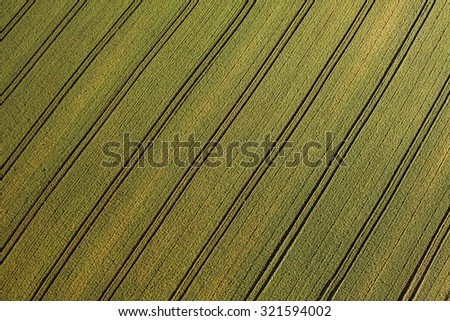 aerial view of green harvest field in Poland