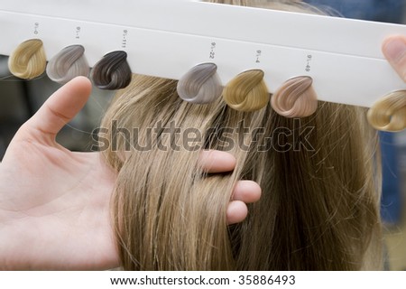 Choice of tone of hair in hair salon