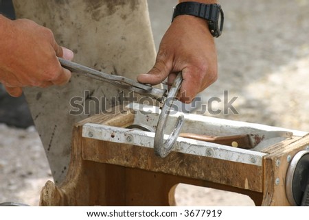 farrier removes nails from an old horse shoe