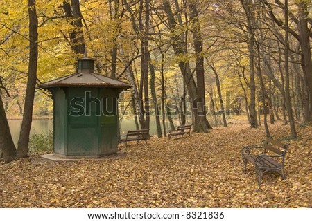 Benches in forest at autumn