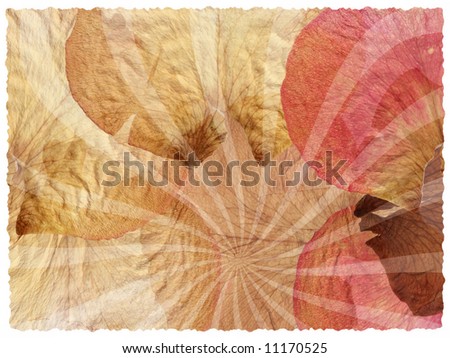 Background texture of rose petals with wavy lines