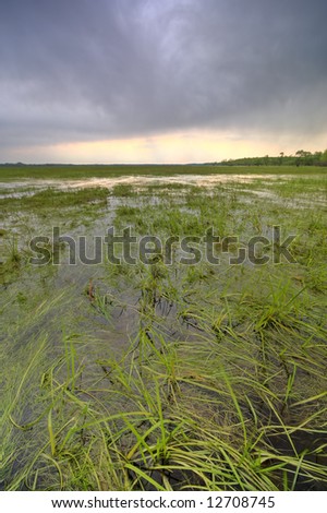 Swamp with stormy sunset clouds