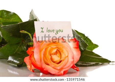 declaration of love with roses on a white background