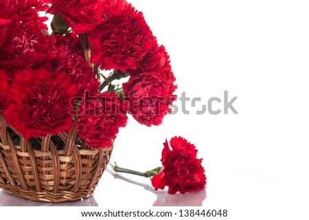 bouquet of red roses on a white background