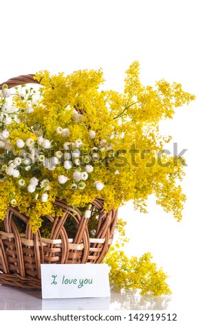 Summer bouquet of wild flowers on a white background