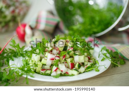 fresh salad of radish and cucumber on a white plate