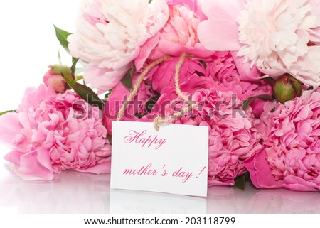 beautiful bouquet of peonies blooming on white background