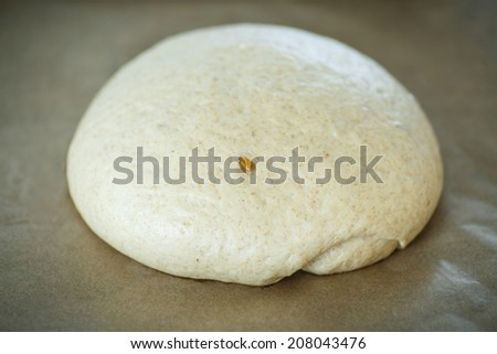 raw yeast dough before baking bread on a baking sheet