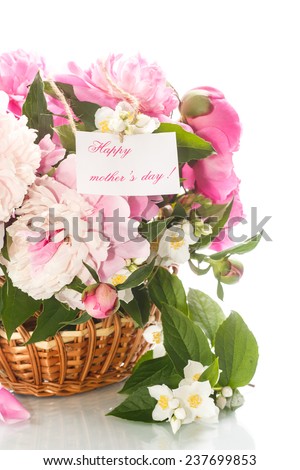 beautiful blooming peonies on a white background