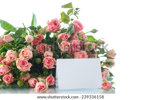 beautiful bouquet of pink roses on a white background