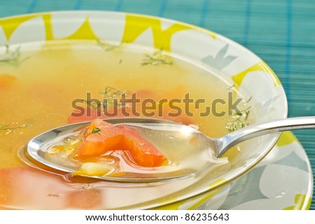 hot soup of different vegetables and tomatoes on a plate