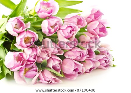 beautiful bouquet of purple tulips from the set