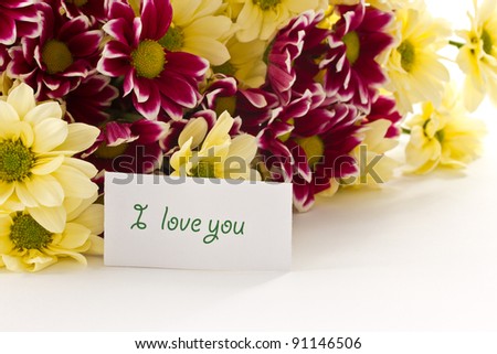 bouquet of yellow and purple chrysanthemums on white background
