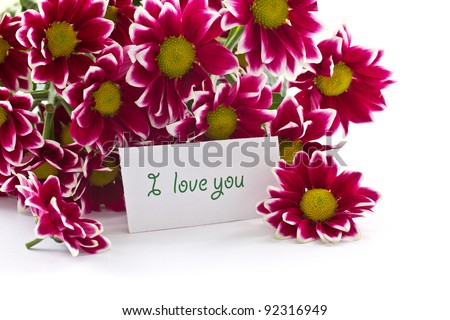 a bouquet of beautiful purple chrysanthemums on white background