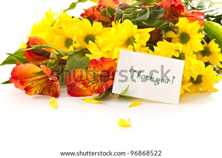 bouquet of gerberas and chrysanthemums on white background