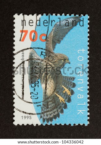 HOLLAND - CIRCA 1990: Stamp printed in the Netherlands shows a falcon, circa 1990