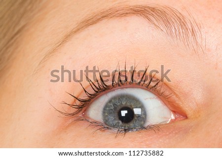 Women eye, close-up, blue, minimum make-up
