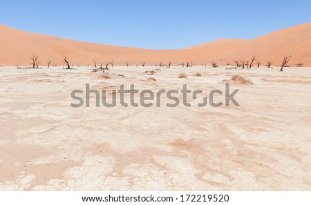 Dead acacia trees and red dunes of Namib desert, Deadvlei (Sossusvlei), Namibia